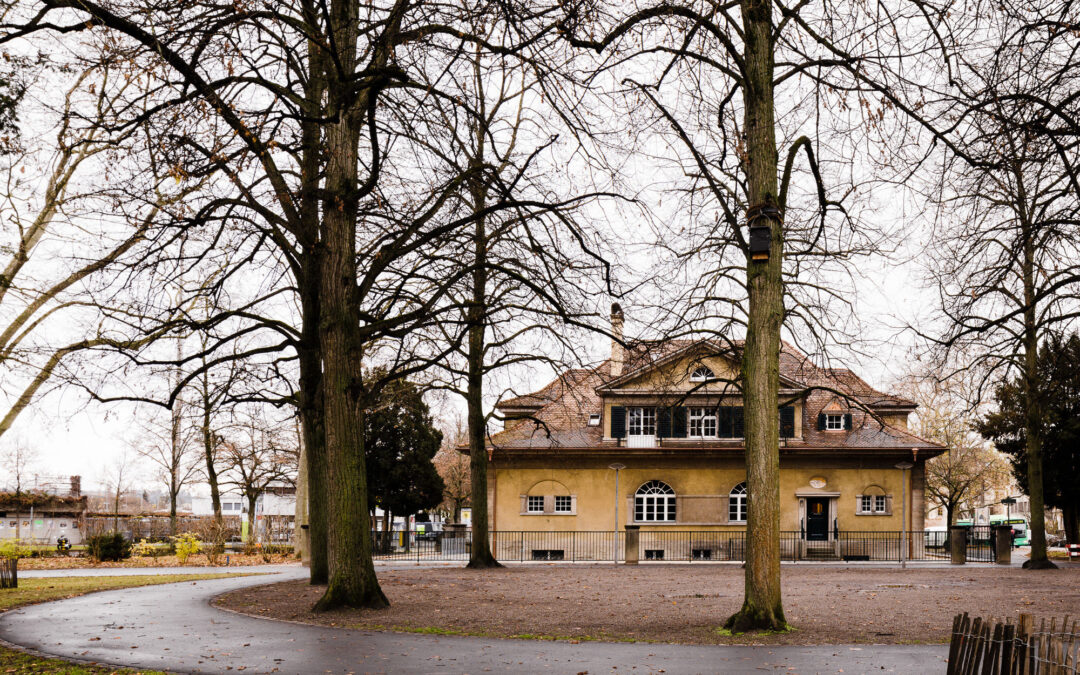 Umbau Tages&shy;struktur Gotthelf