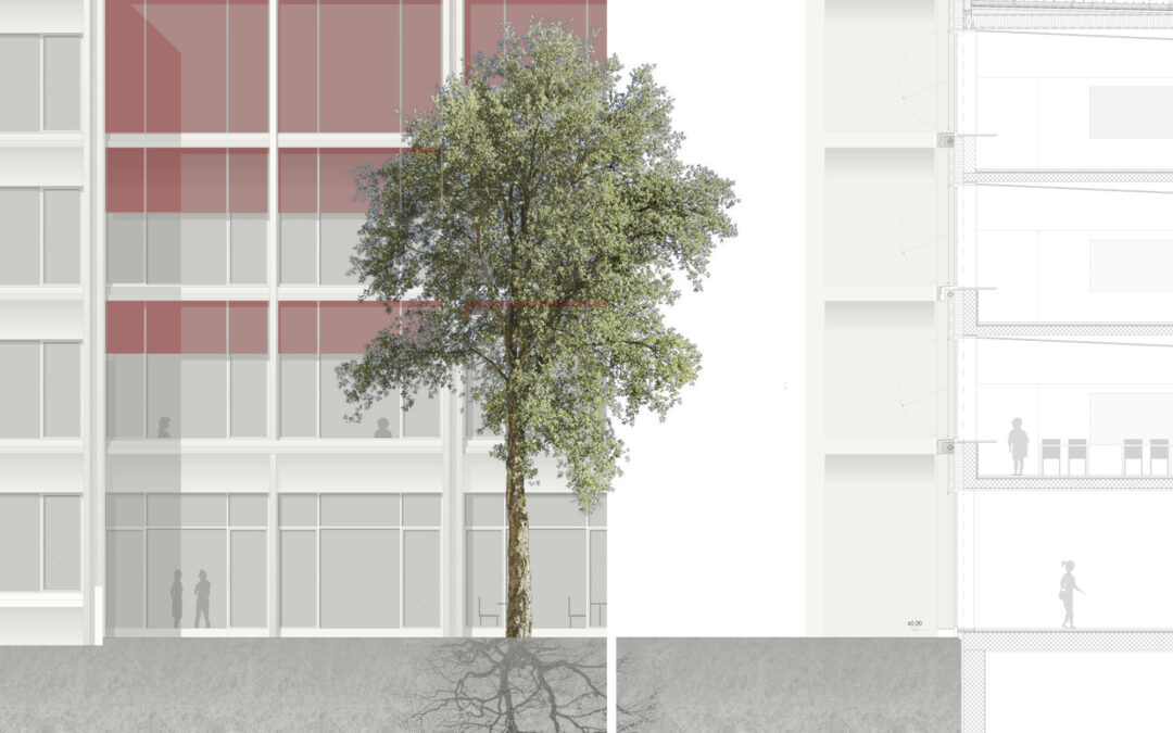 Wettbewerb Schulanlage Christoph Merian