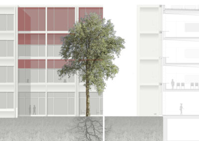 Wettbewerb Schulanlage Christoph Merian